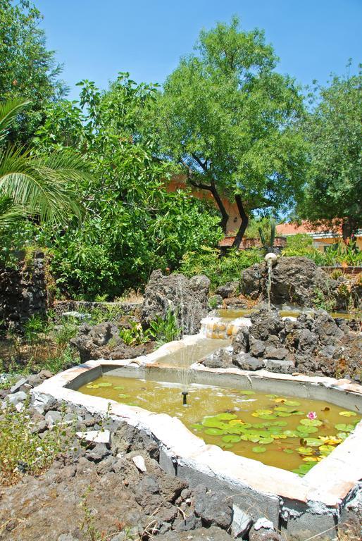Sotto Il Vulcano Nicolosi Eksteriør billede